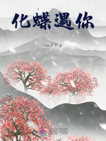 化蝶遇你