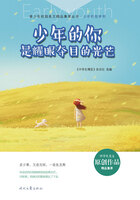 青少年校园美文精品集萃丛书·少年的你系列:少年的你是耀眼夺目的光芒在线阅读