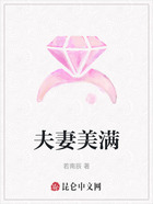 夫妻美满在线阅读
