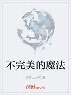 不完美的魔法在线阅读
