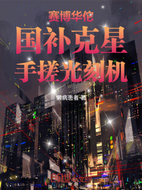 赛博华佗：国补克星，手搓光刻机在线阅读