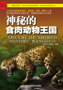 神秘的食肉動物王國