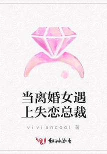 當離婚女遇上失戀總裁