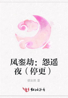 鳳鑾劫：怨遙夜（停更）在線閱讀