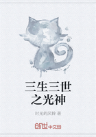 三生三世之光神