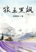 狼王黑颯在線閱讀