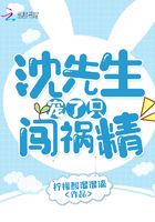 沈先生宠了只闯祸精在线阅读