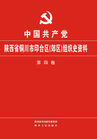 中国共产党陕西省铜川市印台区（郊区）组织史资料（第四卷）