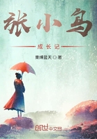 张小鸟成长记在线阅读