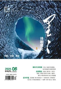 星星·詩(shī)歌理論（2020年第6期）