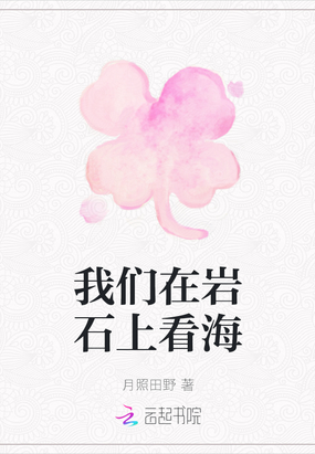 我们在岩石上看海在线阅读