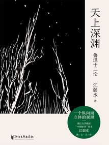 天上深淵：魯迅十二論