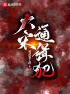 大宋通緝犯在線閱讀
