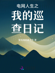 電網人生之我的巡查日記
