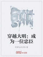 穿越大明：成為一位忠臣在線閱讀