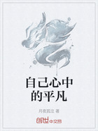 自己心中的平凡在线阅读