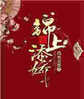 锦上添娇在线阅读