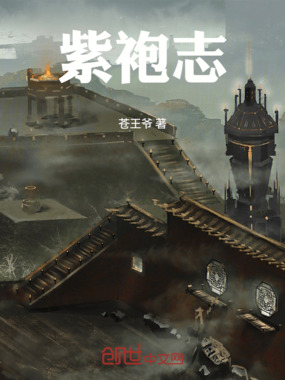 紫袍志在线阅读