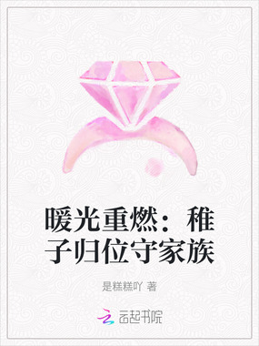 暖光重燃：稚子归位守家族在线阅读