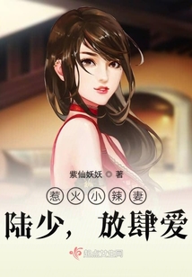 惹火小辣妻:陸少,放肆愛
