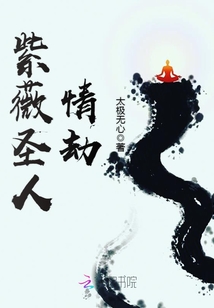 紫薇圣人情劫