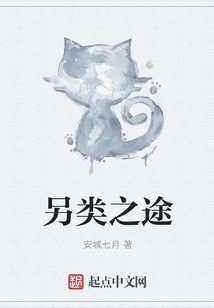 另類之途
