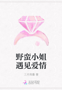 野蠻小姐遇見愛情