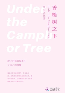 香樟樹之下