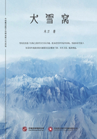 大雪窩在線閱讀