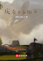 幸存于夕阳下在线阅读