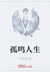孤鳴人生