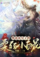 黑蓮花皇子的柔弱小白花在線閱讀