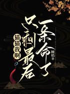 貓貓我啊，只剩最后一條命了在線閱讀