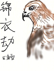 錦衣劫