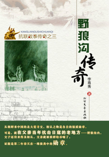 野狼沟传奇（抗联故事传奇）