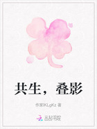 共生，叠影在线阅读