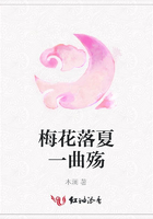 梅花落夏一曲殤在線閱讀