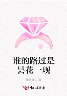 谁的路过是昙花一现