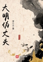 大明伪丈夫在线阅读