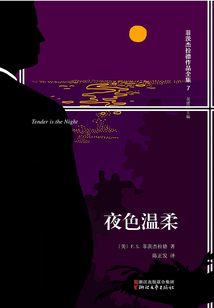 菲茨杰拉德作品全集：夜色溫柔