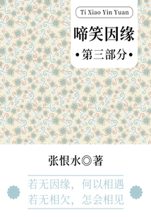 啼笑因缘·第三部分(张恨水经典言情)