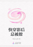 快穿影后總被撩在線閱讀