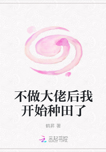 不做大佬后我開始種田了