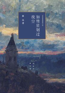 如彗星劃過夜空:近距離看美國之四