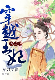 穿越王妃歷險記