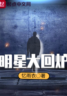 明星大回炉