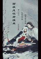西夜风吹南淮来在线阅读