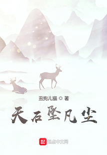 天石墜凡塵