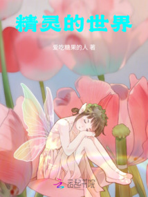 精靈的世界