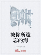 被你所遗忘的海在线阅读